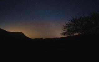 Mountain and trees during starry night photo