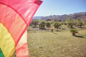 Boy with kite on field photo