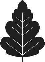 A tree leaves silhouette illustration adds natural elegance to graphic design, ideal for eco-themed projects, backgrounds, and branding materials vector