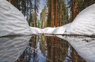 Unrecognizable hiker in snowy forest and lake in Yosemite California photo