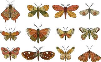 A illustration featuring intricately designed butterflies and moths in earthy tones, showcasing diverse wing patterns and artistic detailing vector