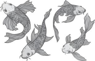 monochrome Koi carp set on white background, Chinese new year, fish for festival on backdrops, line art of koi fish vector
