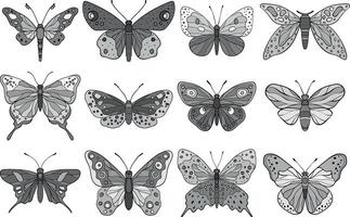A illustration featuring intricately designed butterflies and moths in monochrome gray tones, showcasing diverse wing patterns and artistic detailing vector