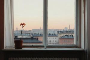 Sunset view from a cozy window with flower photo