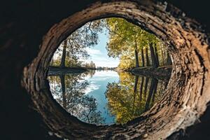 Tranquil view through a tree trunk showcasing a serene lake surrounded by trees on a clear day photo