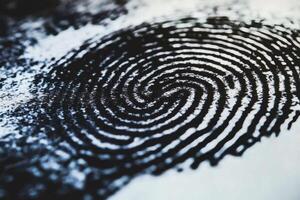 Intricate patterns of a fingerprint captured in detail. photo