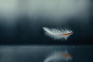 Delicate feather floats gracefully on a reflective surface. photo