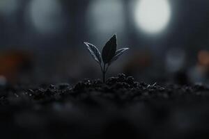 New beginnings sprout in darkness under soft moonlight in a tranquil garden. photo