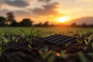 Solar power meets nature at sunset in a vibrant agricultural field. photo