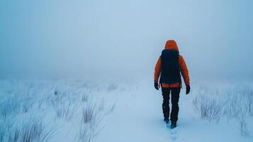 Exploring a snowy landscape in the fog photo