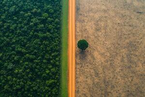 Witness vast deforestation contrasting lush greenery in a striking satellite view of environmental change photo