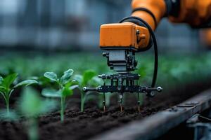 Innovative automated farming robots cultivate crops with precision in a state-of-the-art greenhouse setting photo