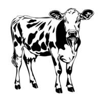 Black and white cow in stylized artistic design for creative projects vector