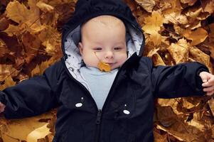 Top view. .Cute little baby is lying down on the ground with fallen leaves on it photo