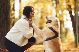 Animal ,is, standing on the back legs. Woman is on the walk with her dog in the autumn forest at daytime photo