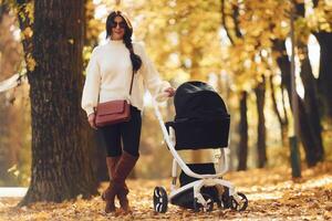 Mothe, with black colored pram is having a walk in forest at daytime photo