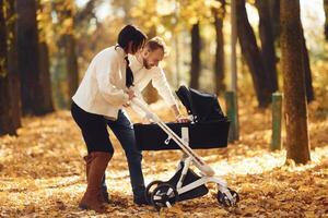 Beautiful, parents is in the forest with pram having a walk photo