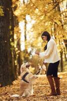 Doing tricks. Woman, is on the walk with her dog in the autumn forest at daytime photo