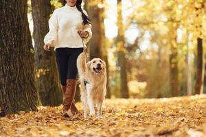 Woman is on the walk ,with her dog in the autumn forest at daytime photo