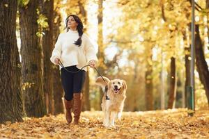 Having fun, together. Woman is on the walk with her dog in the autumn forest at daytime photo