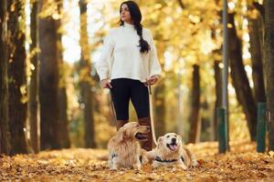 Standing and posing. Woman on ,the walk with her two dogs in the autumn forest photo