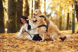 Smiling and playing.. Woman on the walk with her two dogs in the autumn forest photo