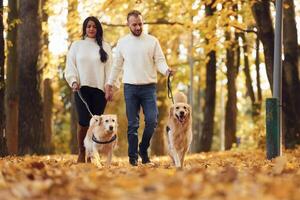 Lovely couple are on the walk in autumn park, with two dogs photo
