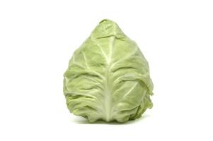 A fresh head of pointed green cabbage isolated on a white background, ready for cooking or salad. photo