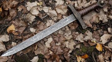 Intricate Ornamental Medieval Sword photo