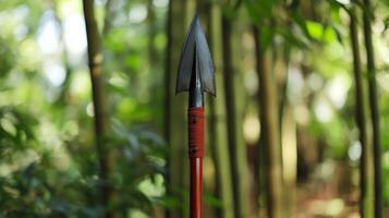 Ancient Hunting Spear in Lush Forest photo