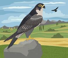 Decorative illustration of falcon in nature. design element vector