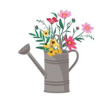 Garden watering can with a bouquet of lavender. isolated illustration. Design element vector