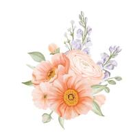 Spring Flowers Bouquet from Ranunculus and Iceland Poppies with Freesia, Peach or Cherry and Snow Willow Branches. Watercolor hand painted botanical illustration in pastel colors isolated on a white vector