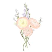 Bouquet of Ranunculus Flowers with Freesia and Snow Willow Branches. Watercolor Hand drawn Spring floral illustration in pastel colors isolated on white background. Botanical art for invitations vector