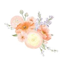 Spring Bouquet from Flowers in Pastel colors. Ranunculus and Iceland Poppies with Freesia, Peach or Cherry and Snow Willow Branches. Watercolor hand painted botanical illustration isolated on a white vector