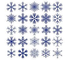 set of different snowflakes vector