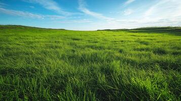 Grass field and partly cloudy sky on the background. Carbon neutrality photo