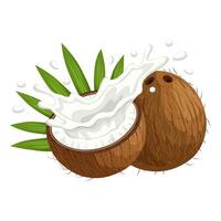 Illustration of whole and half coconut, with splash of coconut milk, isolated on white background. vector