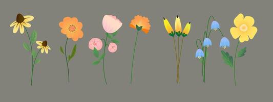 Blossom Icons, Set of Flowers. Spring and Summer Blooming Plants, Isolated Floristic Elements for Design and Decorative Compositions for Greeting Card or Invitation. Illustration vector