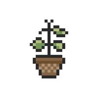 Sprout with pot pixel art vector