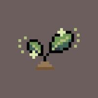 Kawaii sparkly sprout pixel design vector