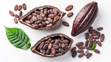 Cocoa beans and pods. Cocoa industrt concept image photo