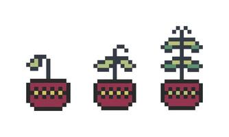 Magical sprout pixel creation vector