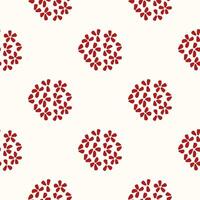 Garnet seeds simple background vector