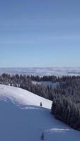 Captivating aerial perspective shows rolling snow-covered hills and dense evergreen forests beneath a clear blue sky. A tranquil winter scene in a remote landscape. Vertical footage video