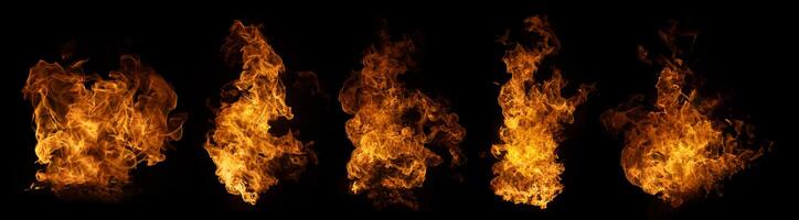 The set of fire and burning flame isolate on dark background for graphic design photo