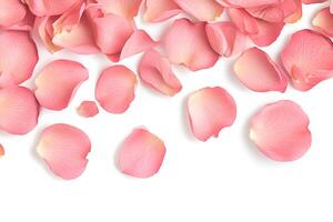 A delicate and elegant background made of soft pink rose petals, creating a romantic and serene atmosphere photo