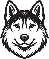 Husky Dog Head. vector