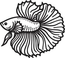 Betta Splendens Fish Line Sketch. vector