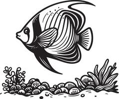 A Anglefish Sketch Illustration. vector